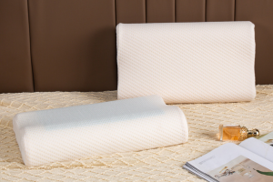 Memory Foam Pillow